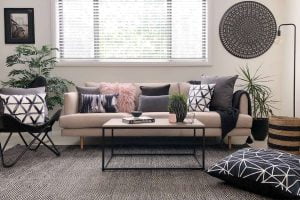 cushions living room