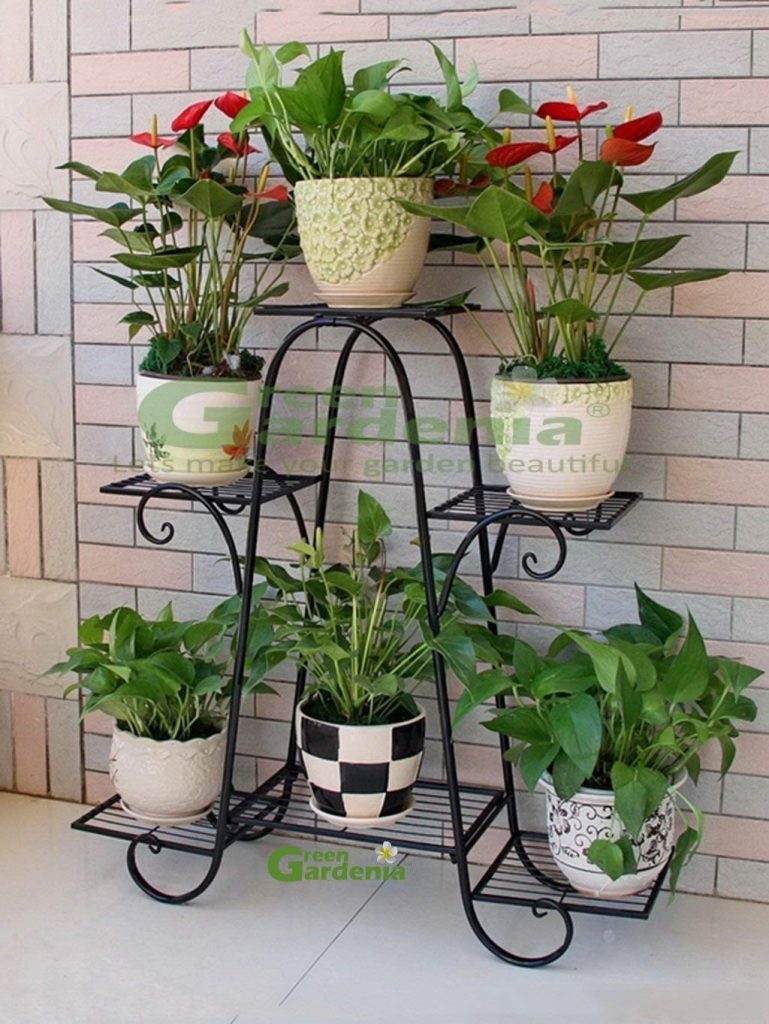 Multiple plant holder