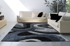 carpet living room