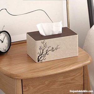 tissue box living room